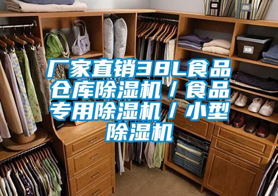 厂家直销38L食品仓库除湿机/食品专用除湿机/小型除湿机