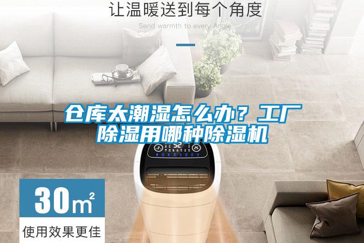仓库太潮湿怎么办？工厂除湿用哪种除湿机