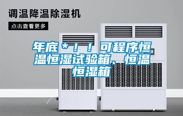 年底＊！！可程序恒温恒湿试验箱、恒温恒湿箱