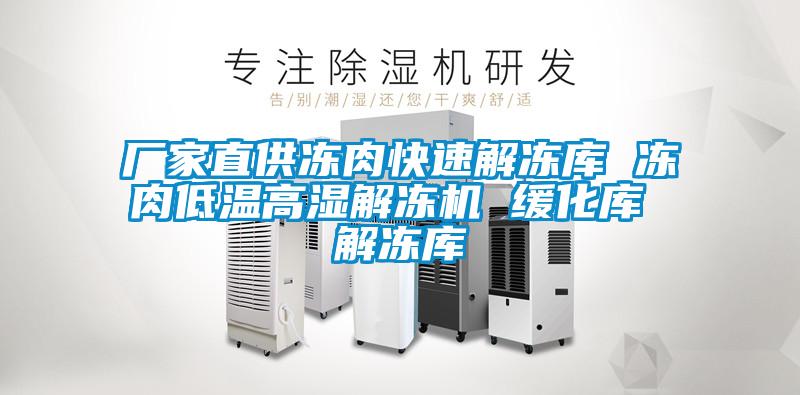 厂家直供冻肉快速解冻库 冻肉低温高湿解冻机 缓化库 解冻库