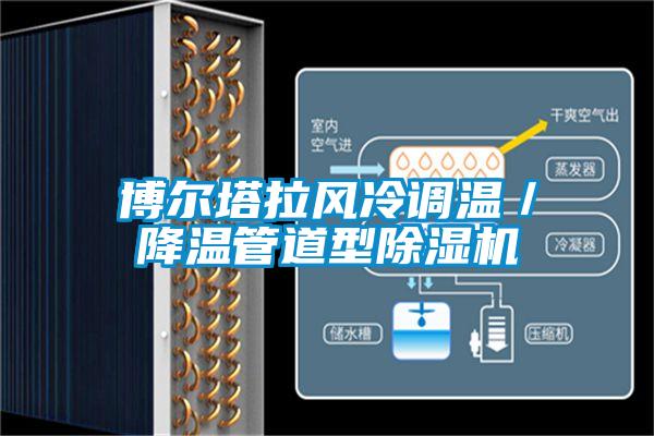 博尔塔拉风冷调温／降温管道型除湿机