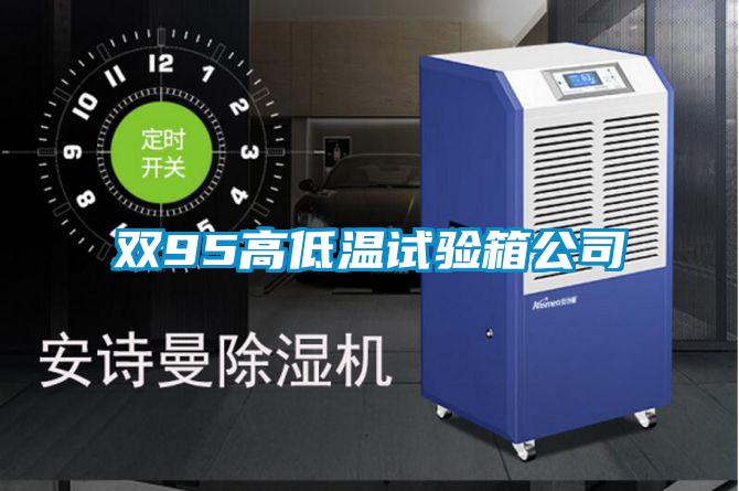 双95高低温试验箱公司