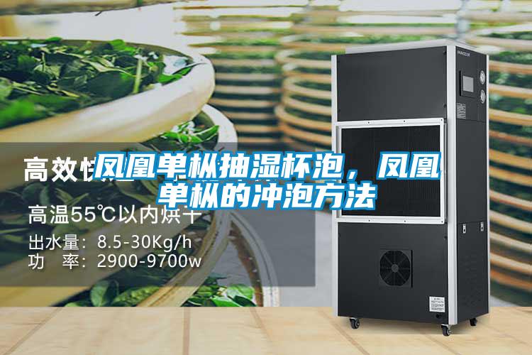 凤凰单枞抽湿杯泡，凤凰单枞的冲泡方法