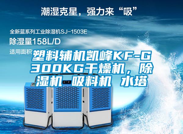 塑料辅机凯峰KF-G300KG干燥机，除湿机 吸料机 水塔