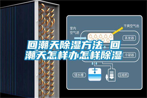 回潮天除湿方法 回潮天怎样办怎样除湿