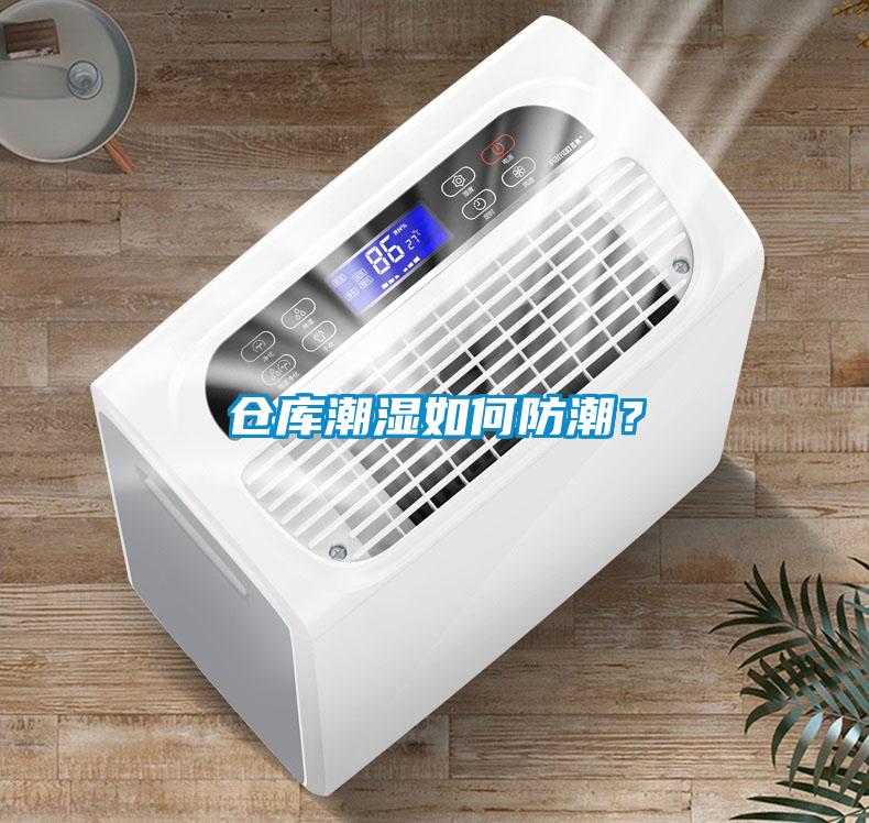 仓库潮湿如何防潮？