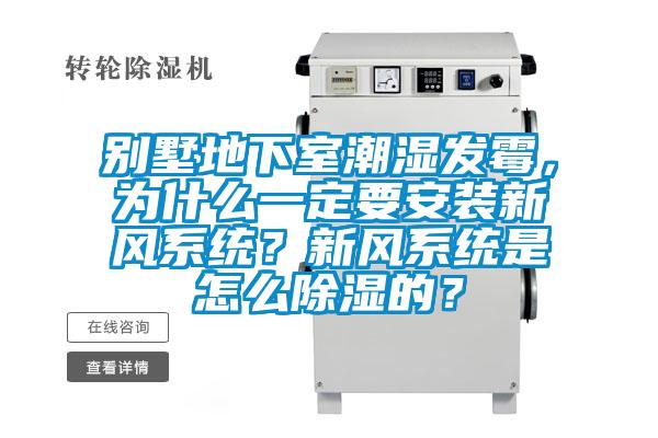 别墅地下室潮湿发霉，为什么一定要安装新风系统？新风系统是怎么除湿的？