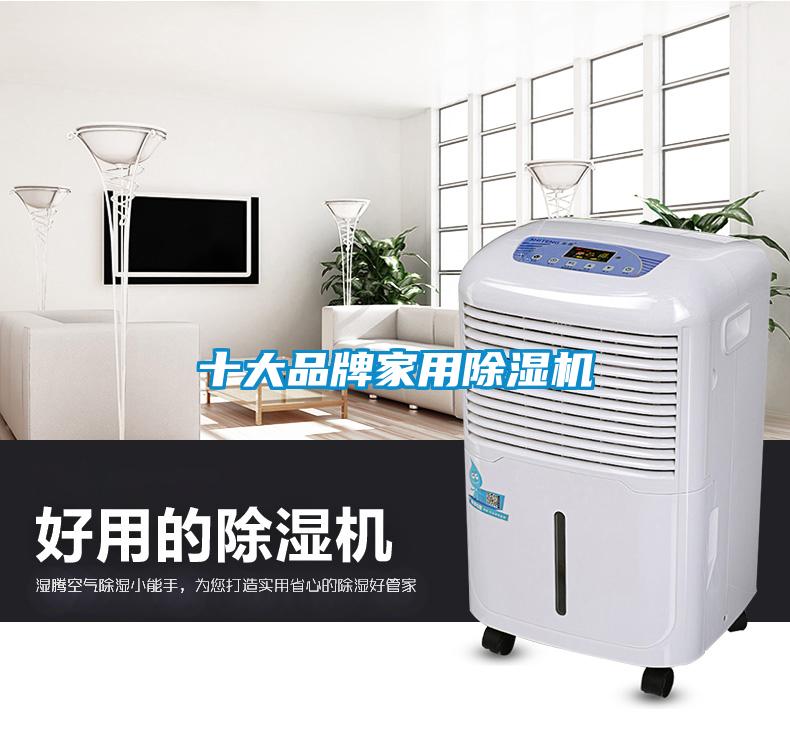 十大品牌家用除湿机