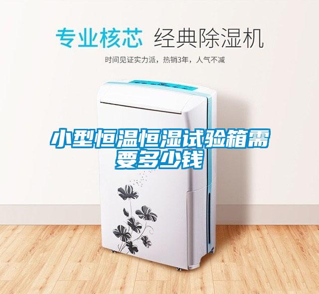 小型恒温恒湿试验箱需要多少钱