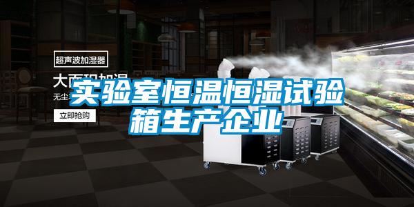 实验室恒温恒湿试验箱生产企业
