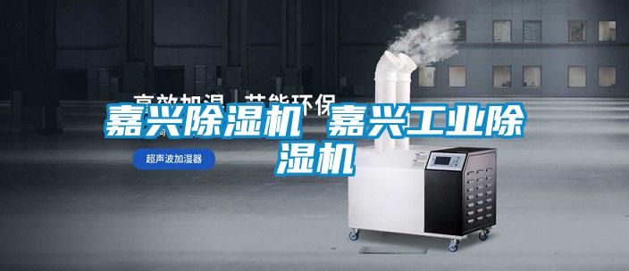 嘉兴除湿机 嘉兴工业除湿机