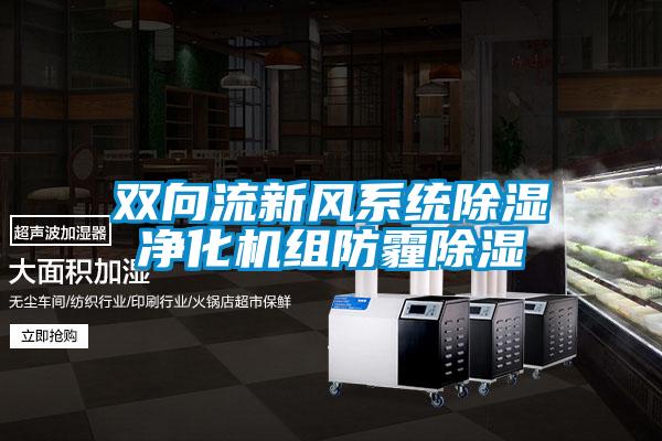 双向流新风系统除湿净化机组防霾除湿