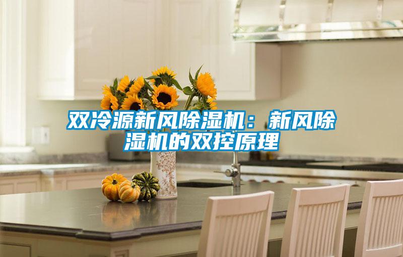 双冷源新风除湿机：新风除湿机的双控原理