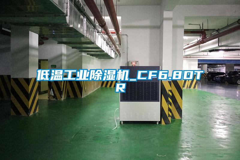 低温工业除湿机_CF6.8DTR