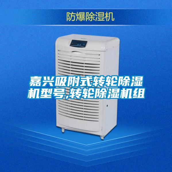 嘉兴吸附式转轮除湿机型号,转轮除湿机组