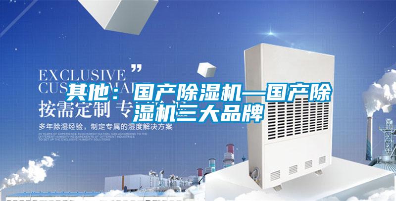 其他:国产除湿机—国产除湿机三大品牌