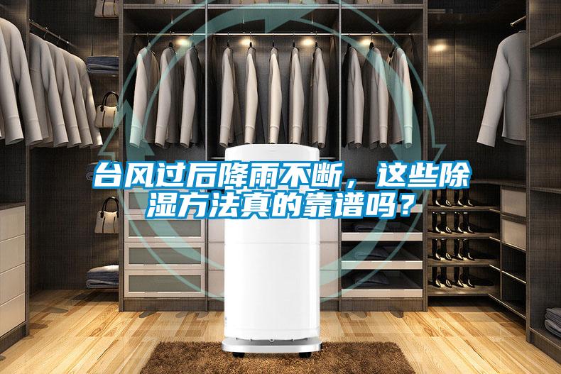 台风过后降雨不断，这些除湿方法真的靠谱吗？
