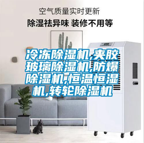 冷冻除湿机,夹胶玻璃除湿机,防爆除湿机,恒温恒湿机,转轮除湿机