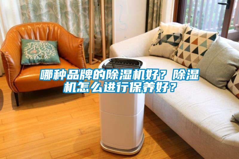 哪种品牌的除湿机好？除湿机怎么进行保养好？