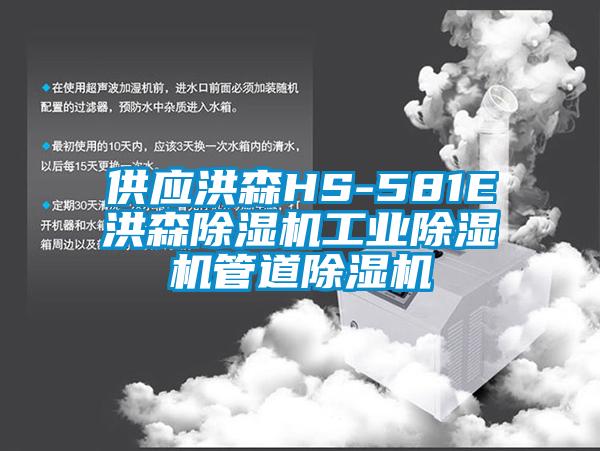 供应洪森HS-581E洪森除湿机工业除湿机管道除湿机