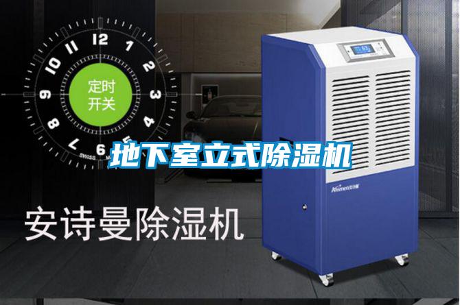 地下室立式除湿机