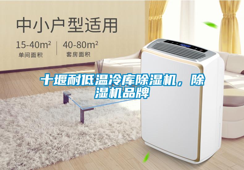 十堰耐低温冷库除湿机，除湿机品牌