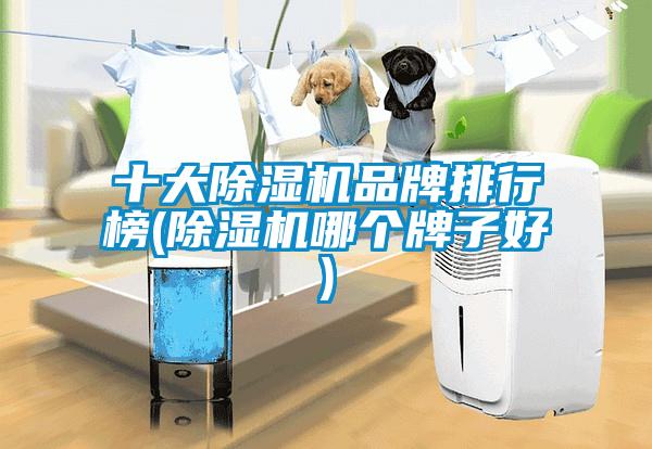 十大除湿机品牌排行榜(除湿机哪个牌子好)