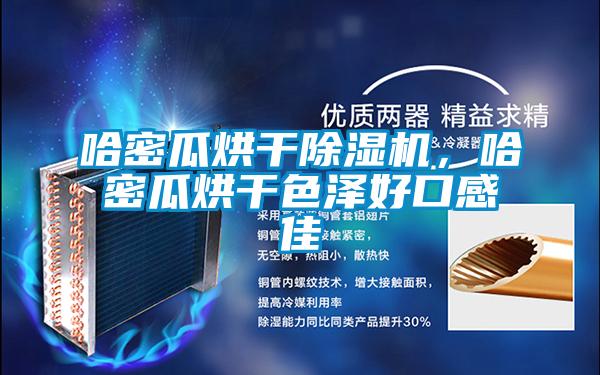 哈密瓜烘干除湿机，哈密瓜烘干色泽好口感佳