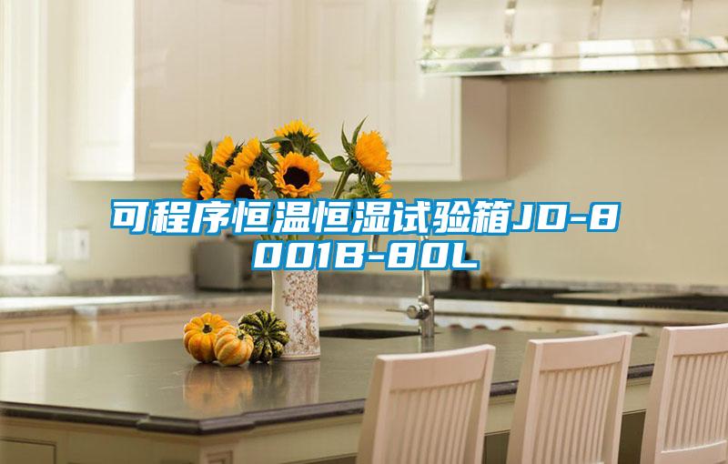可程序恒温恒湿试验箱JD-8001B-80L
