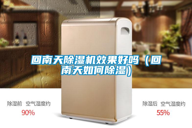 回南天除湿机效果好吗(回南天如何除湿)