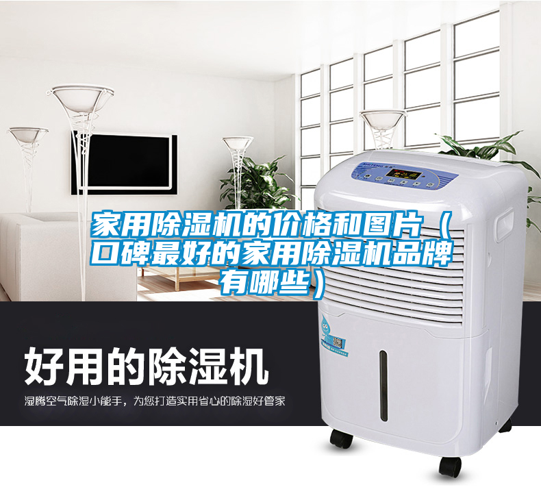 家用除湿机的价格和图片(口碑最好的家用除湿机品牌有哪些)