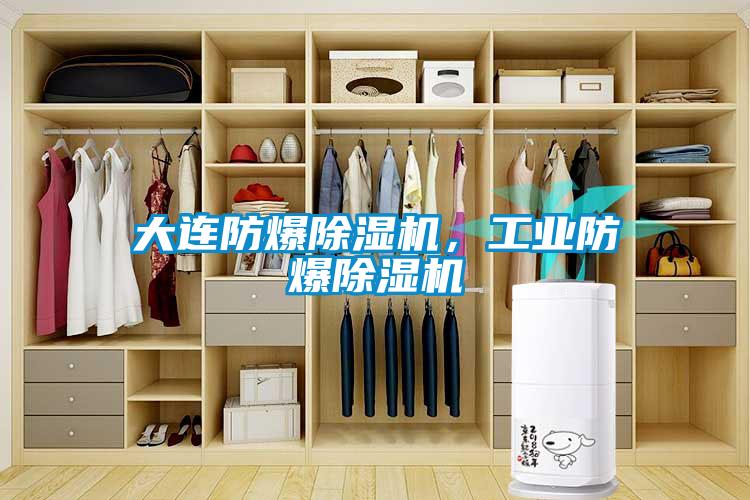 大连防爆除湿机，工业防爆除湿机