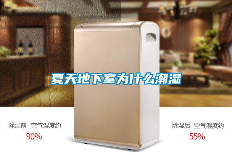 夏天地下室为什么潮湿