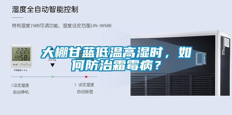 大棚甘蓝低温高湿时，如何防治霜霉??？