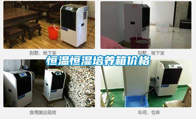 恒温恒湿培养箱价格