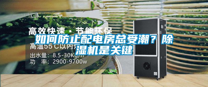 如何防止配电房总受潮？除湿机是关键