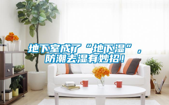 地下室成了“地下湿”，防潮去湿有妙招！