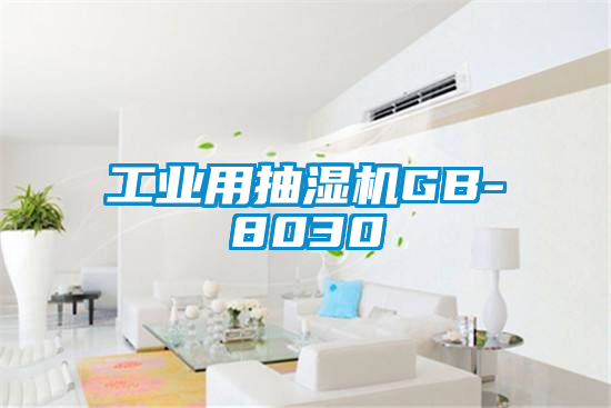 工业用抽湿机GB-8030
