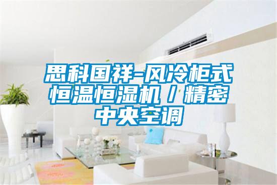 思科国祥-风冷柜式恒温恒湿机/精密中央空调