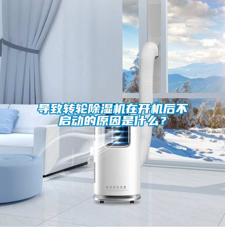 导致转轮除湿机在开机后不启动的原因是什么？