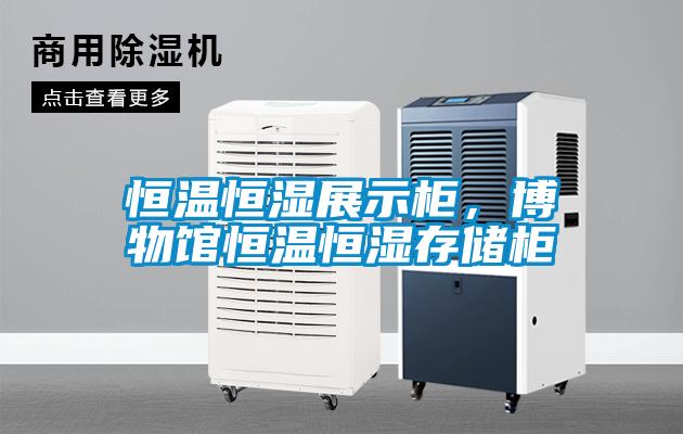 恒温恒湿展示柜，博物馆恒温恒湿存储柜