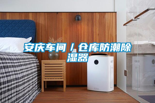 安庆车间/仓库防潮除湿器