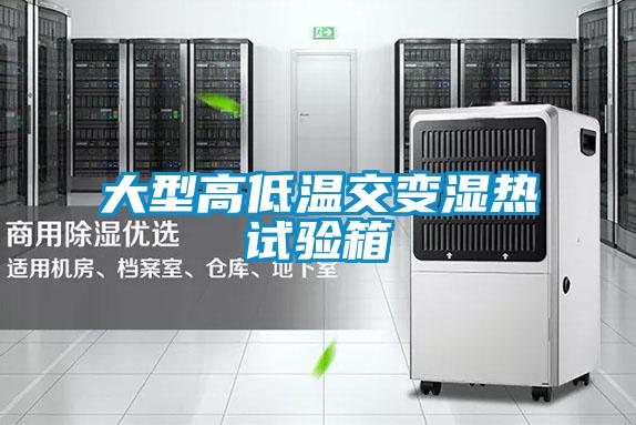 大型高低温交变湿热试验箱