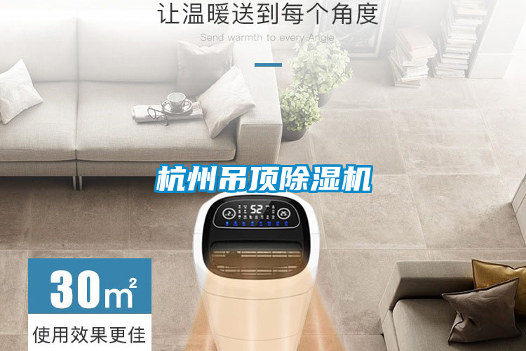 杭州吊顶除湿机