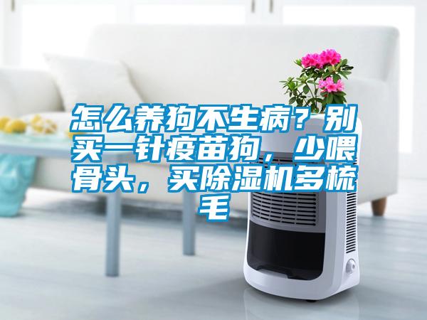 怎么养狗不生??？别买一针疫苗狗，少喂骨头，买除湿机多梳毛