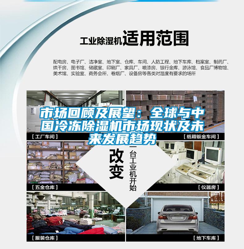 市场回顾及展望：全球与中国冷冻除湿机市场现状及未来发展趋势
