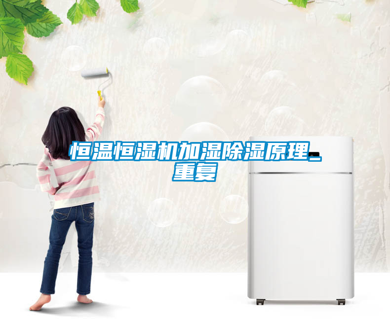 恒温恒湿机加湿除湿原理_重复
