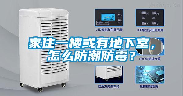家住一楼或有地下室，怎么防潮防霉？