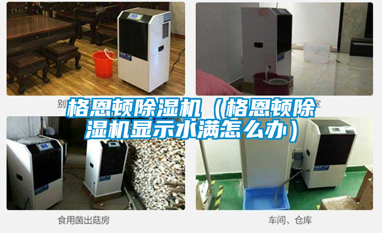 格恩顿除湿机(格恩顿除湿机显示水满怎么办)
