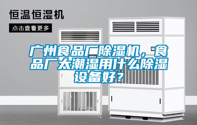 广州食品厂除湿机，食品厂太潮湿用什么除湿设备好？